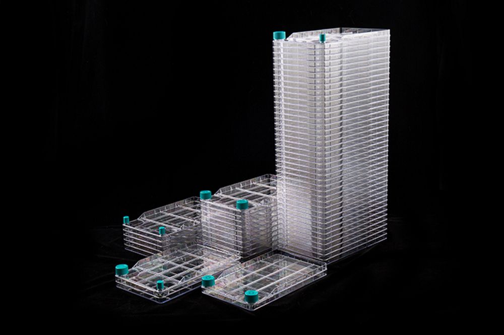 NEST - Cell Biology - BioFactory™ - Image 3