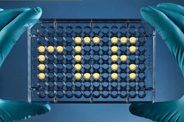 Image_TEC_INS_ACC_LAL_rCR_01_1000x665_JPG Image_TEC_INS_ACC_LAL_rCR_01_1000x665_JPG