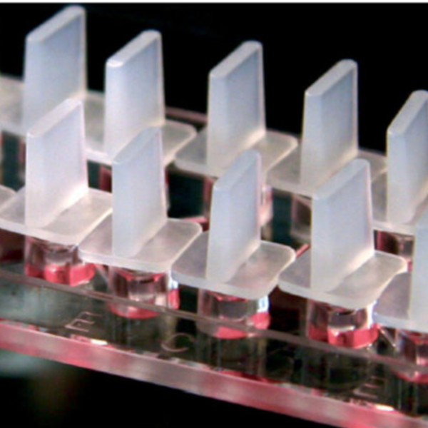 Image_Product_Ibidi_80326_1000x665_JPG_03_1200x1200 Image_Product_Ibidi_80326_1000x665_JPG_03_1200x1200