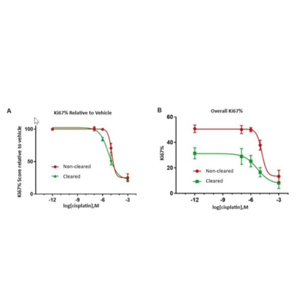 Image_TEC_INS_Corning_3D_02 Image_TEC_INS_Corning_3D_02